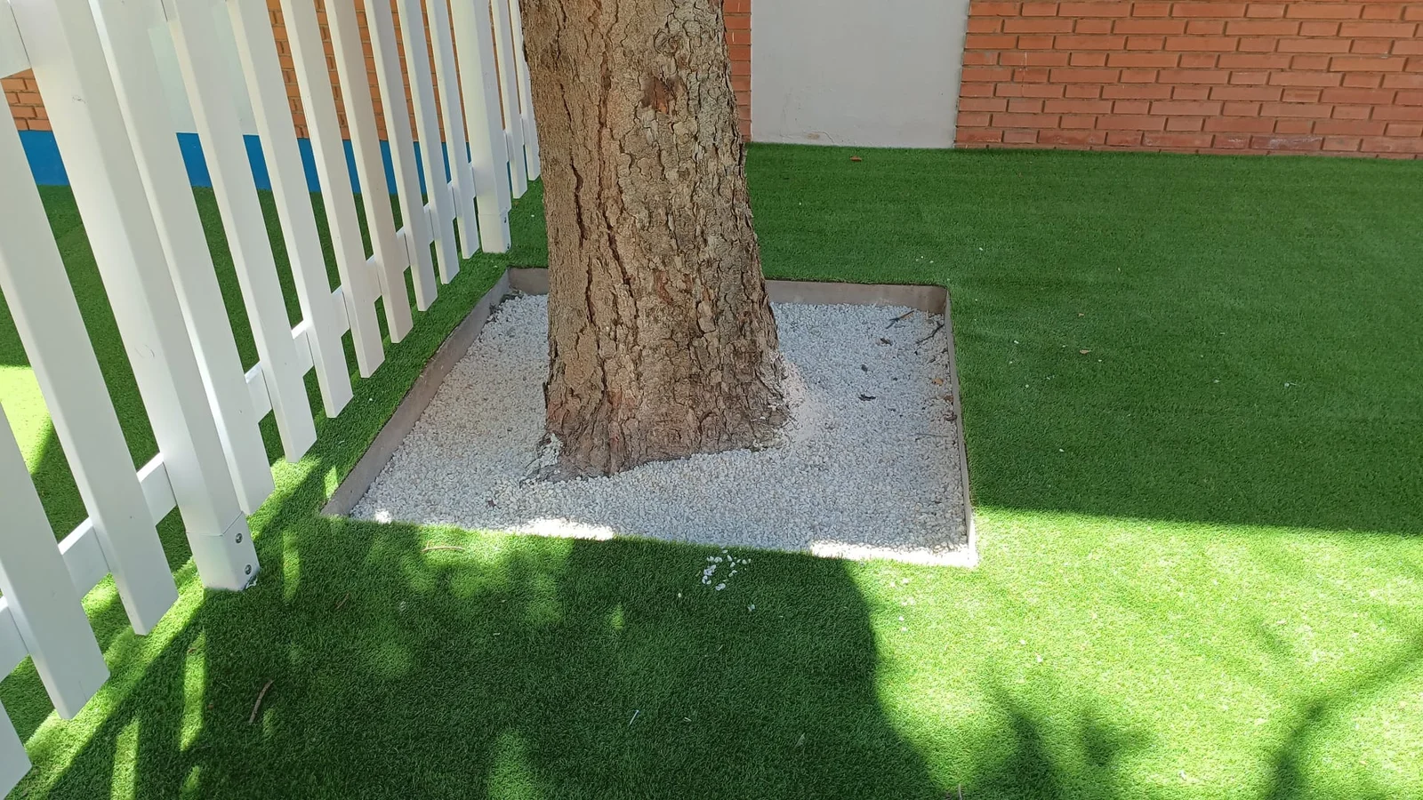 Alcorque del árbol integrado en el césped del patio